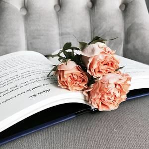 Meet your Posher, Alina